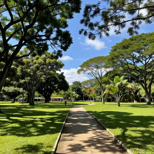Descubra o Parque Ecológico Mourão Descubra o Parque Ecológico Mourão
